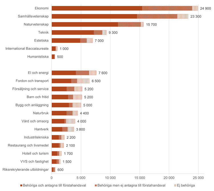 Diagram över antal sökande, behöriga och antagna till nationellt program inför läsåret 2024/2025